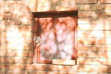 1B5C2D5D-AFF2-4C89-B566-D1042C41AAD9/L0/001
