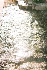 3D0BC417-D94C-4E77-8487-5CDA320ADF2F/L0/001