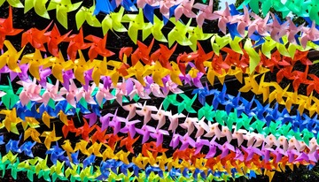 D0DCC2F9-3CD0-4788-9D3F-33059E8CDC5A/L0/001