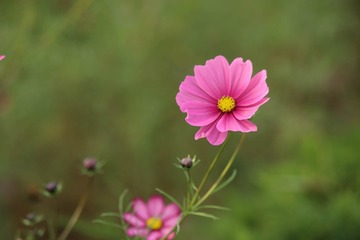 2CF26AEA-B202-4B76-8797-C174C05CF6BD/L0/001
