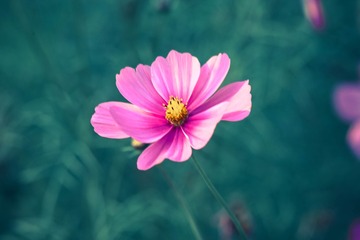 35B11F80-553C-4D0D-AD49-B9F3B19097E8/L0/001