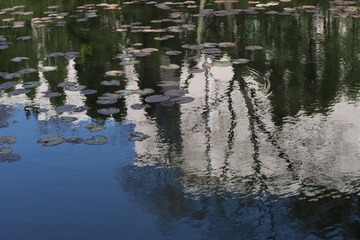 1F6653A7-5821-41B0-B852-9125C0FD18AF/L0/001
