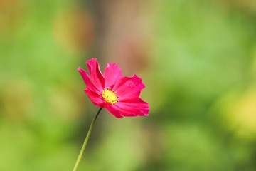 311D67F2-3044-446E-9A84-689924D521C9/L0/001