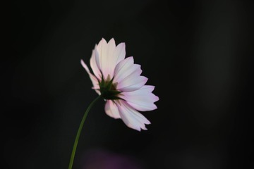 45E144D3-8A7A-47F2-AC3F-775042319FAF/L0/001