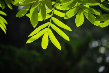 62F69253-C055-4F51-9029-AD9C09E76C39/L0/001