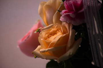 38D22A07-8675-476A-859A-8C05DE19BFC8/L0/001