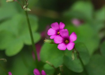 A2735B55-797D-4D87-8E5F-399BA4AD12A4/L0/001