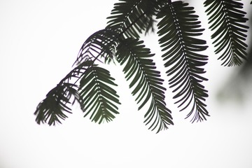 1E7CE5EE-AACE-40F6-9303-438AB6DF5D96/L0/001