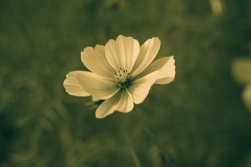 7036C4C5-7664-4E2C-83F6-D1694F204628/L0/001