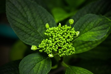 E017B860-F4E0-4927-B225-2C3AAC074A8B/L0/001