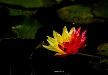 EB7CF798-1DED-4C2C-BDFB-5DAE1F47956B/L0/001