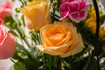 E7D74357-2DC7-42A5-84C9-14E405478BA6/L0/001