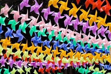 85568CD5-6AEA-444A-B457-8FEFC9AAE4AF/L0/001