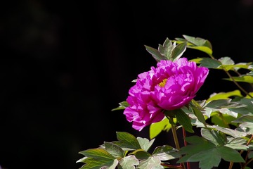 3E95C9FB-D119-4BF7-8F22-D6BA8B454DC2/L0/001