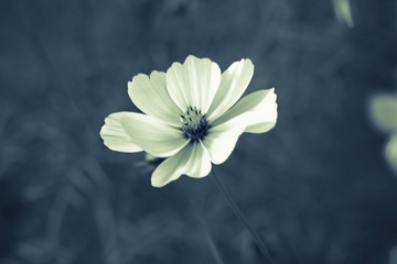 7230BD8C-9849-4F09-9F09-48531E074BCF/L0/001
