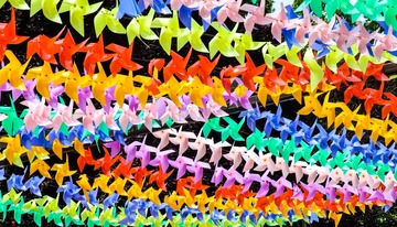 AB998435-95D5-498F-A6D7-95F1407C22B8/L0/001