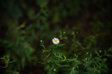 B6387734-C604-4483-B691-3228E5113B48/L0/001