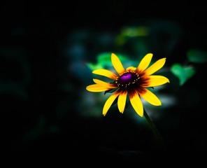 9E3F9B94-6083-44AA-A57E-6FF2C4EFBBB6/L0/001
