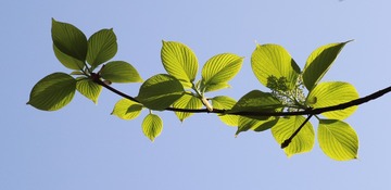 7B6B3C2F-504E-4BDD-878A-80DB55564A08/L0/001