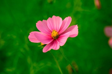 1073ACFE-DABD-49E6-90FA-BD8DBF3F2CC5/L0/001