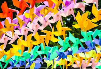 0C1AE1EF-1AB1-4B16-84D4-0C31637221D6/L0/001