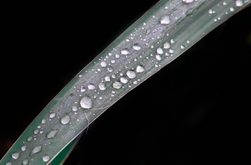 7F10BD08-BA05-480C-9172-4F272E209B45/L0/001