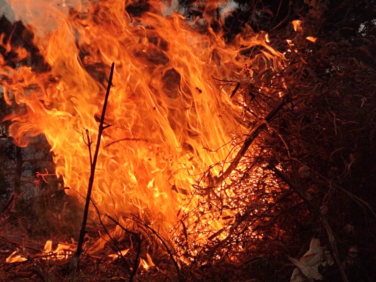 野火烧不尽春风吹又生