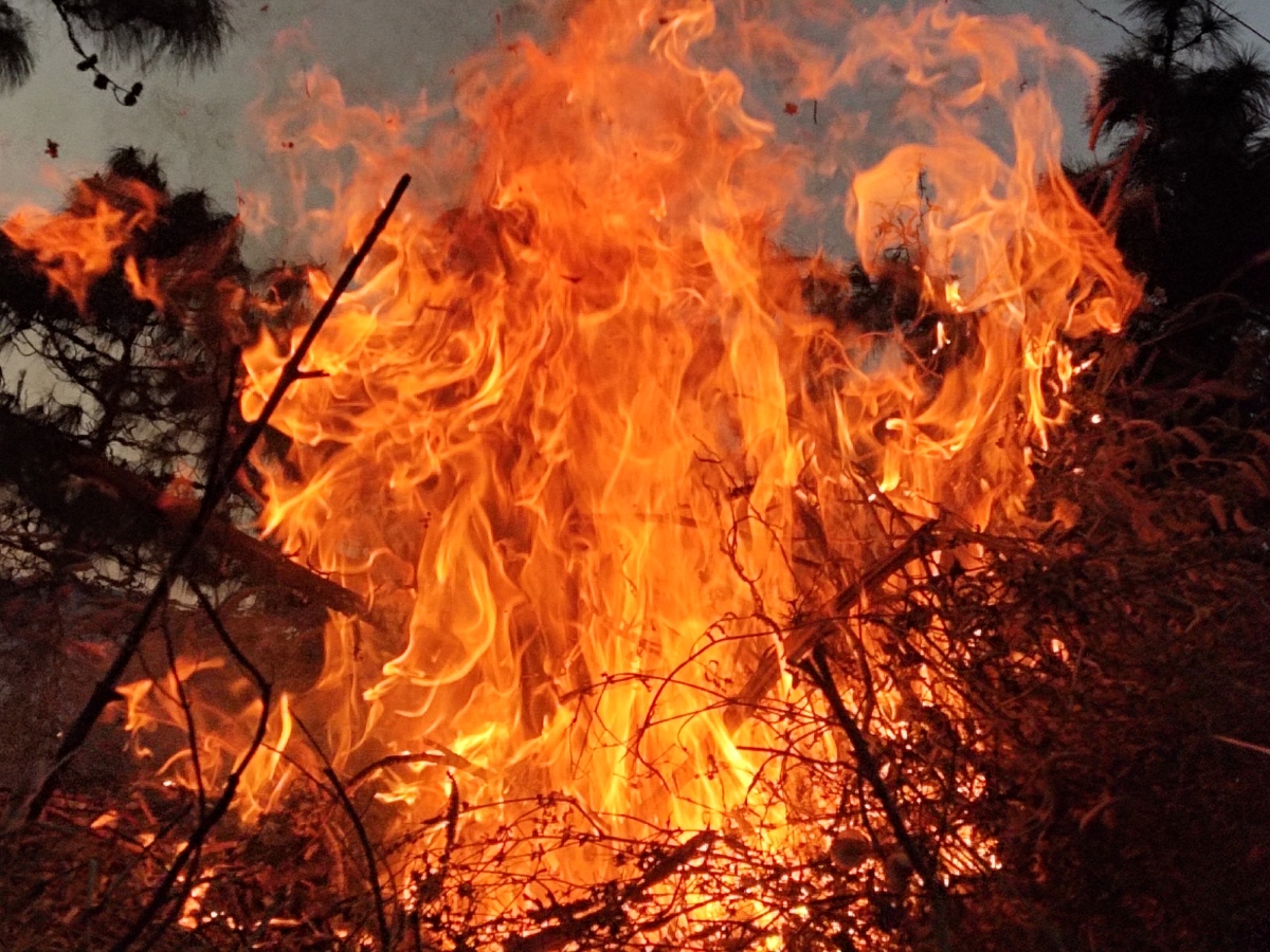 野火烧不尽春风吹又生