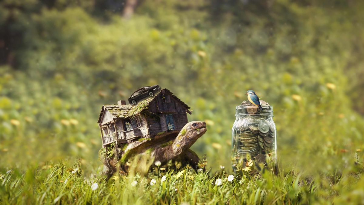 背着房子的乌龟艰难的爬向储钱罐