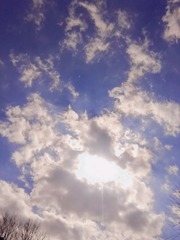 CB3033B1-0BCA-4EE2-9F25-DA03D3E9BA76/L0/001