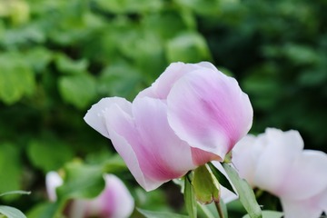 E9B31944-9385-4809-B81C-C1AB6E7F87A8/L0/001