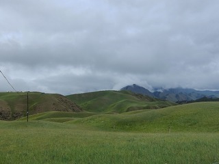 1000015743