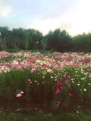 F258370B-2B15-4DD1-A2C5-512B956242EE/L0/001