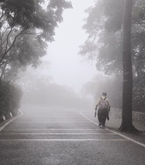 F02F4917-03A1-4EF7-A20A-01F4880338B1/L0/001