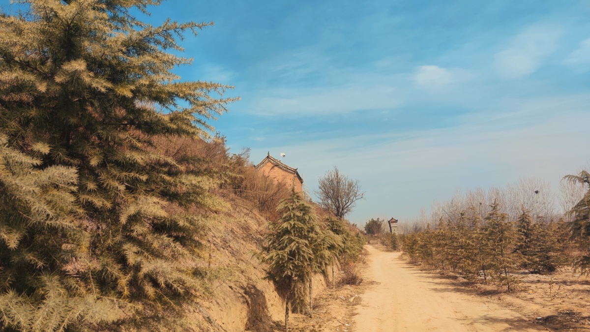 雾烟山下的小路