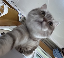 B32012E1-3B27-4AE9-B0DD-0B3BFB027648/L0/001