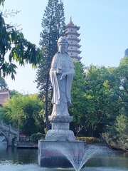 1000018554