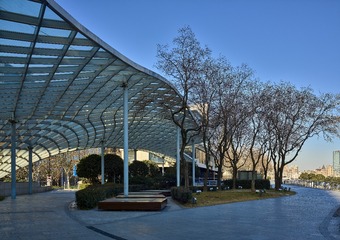 mmexport1610129964487
