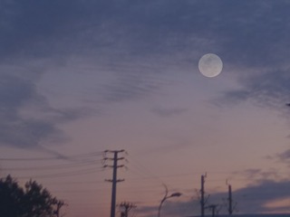 63