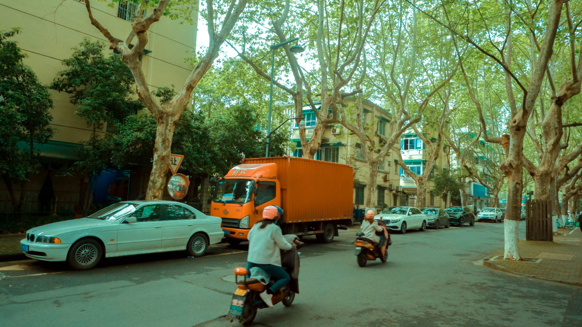 马路边边的风景