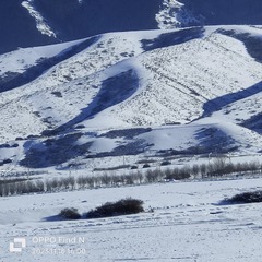 1000005471