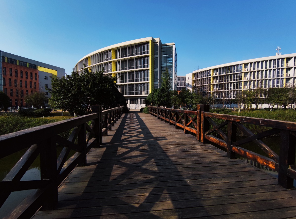 在成都冬日的温暖阳光下四川大学江安校区第一教学楼前的小木桥和明远