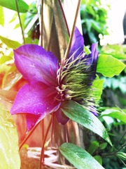 C681FD74-8158-42C4-898F-B4E5022BEFB9/L0/001