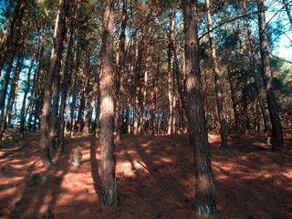 tmp_46f0bf1e318d9ce6651025f7f6fdf88b9408e56c71abccb3