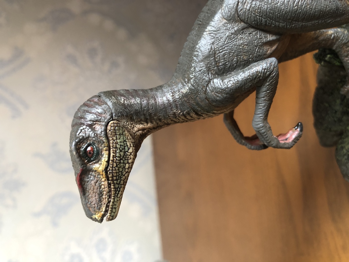 伶盗龙迅猛龙布鲁