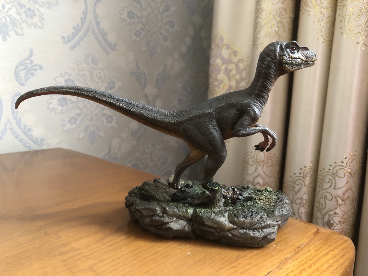 伶盗龙迅猛龙布鲁