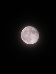 90725EA4-B229-48B4-9EC8-282415E7D5F4/L0/001