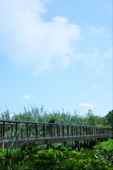 856FE128-2F62-4A82-B0AD-556CF9D40A5E/L0/001
