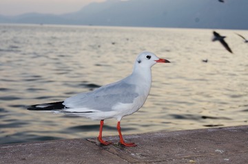 3921
