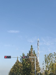 1000026855